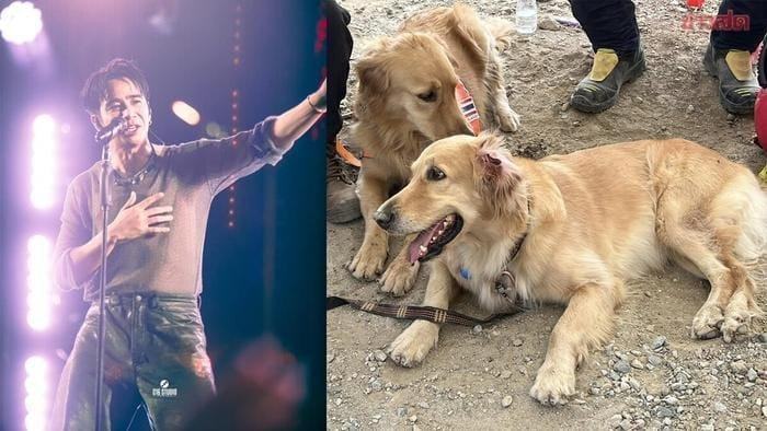 Nam ca sĩ ủng hộ 380 triệu đồng cho công tác cứu hộ nạn nhân trong vụ động đất tại Thái Lan Ảnh 3