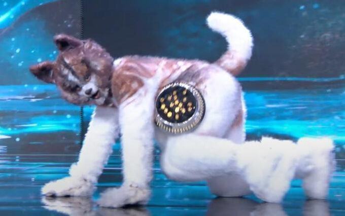 Thí sinh Miss Grand Thailand gây sốc khi hóa thân thành chó