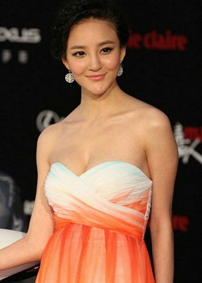 Lưu Vũ Hân từng tạm dừng hoạt động nghệ thuật sau khi lập gia đình và sinh con