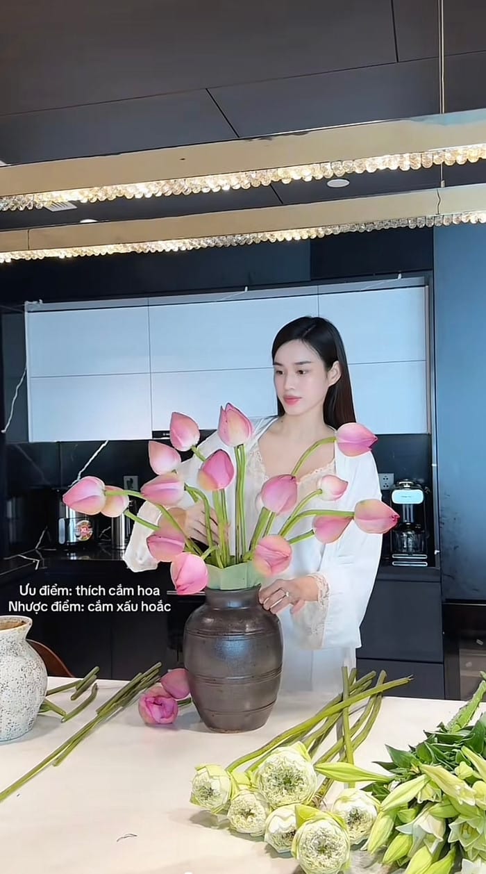 Đỗ Thị Hà khoe khoảnh khắc nữ công gia chánh trên mạng xã hội. (Ảnh: Chụp màn hình TikTok nhân vật)