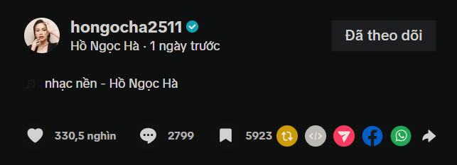 Con gái Hồ Ngọc Hà khiến dân tình 'dậy sóng' Ảnh 1